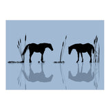 Cabaline (Print Only) thumbnail
