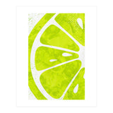 Citrus Collection No2 (Print Only) thumbnail