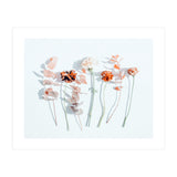 Minima (Print Only) thumbnail