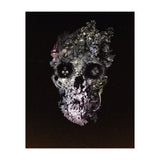 Metamorphosis  (Print Only) thumbnail