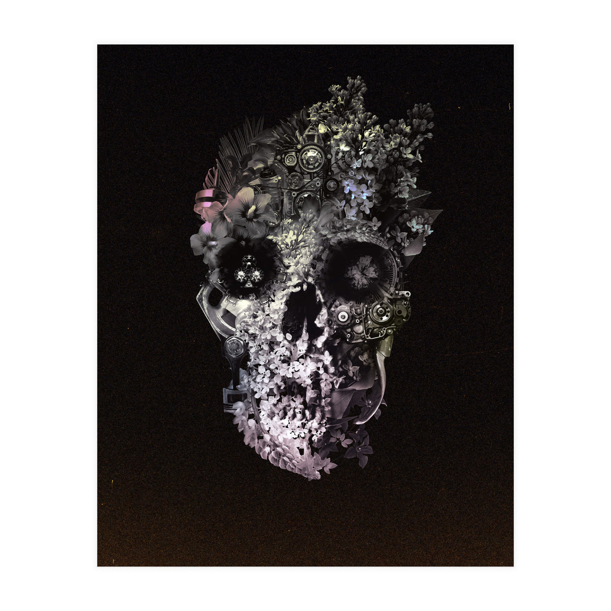 Metamorphosis  (Print Only)