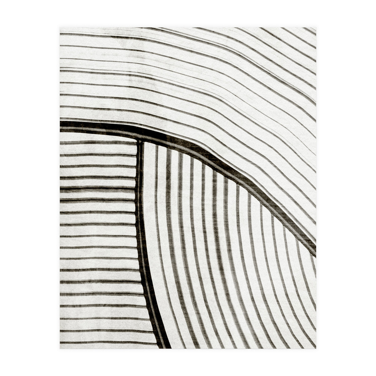 Frequencia4  (Print Only)