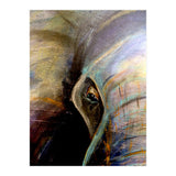 Kind Eye (Print Only) thumbnail