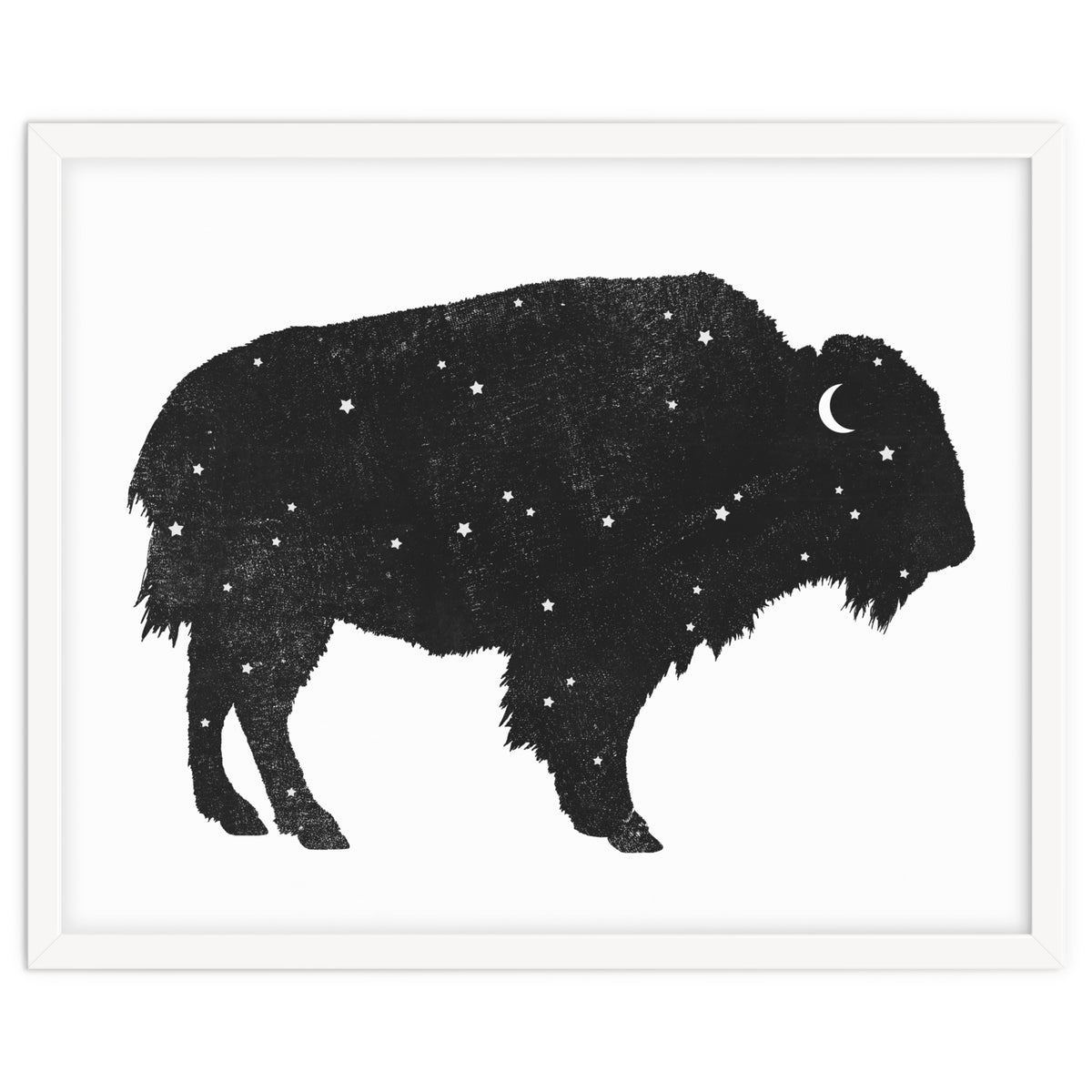 Mystic Buffalo