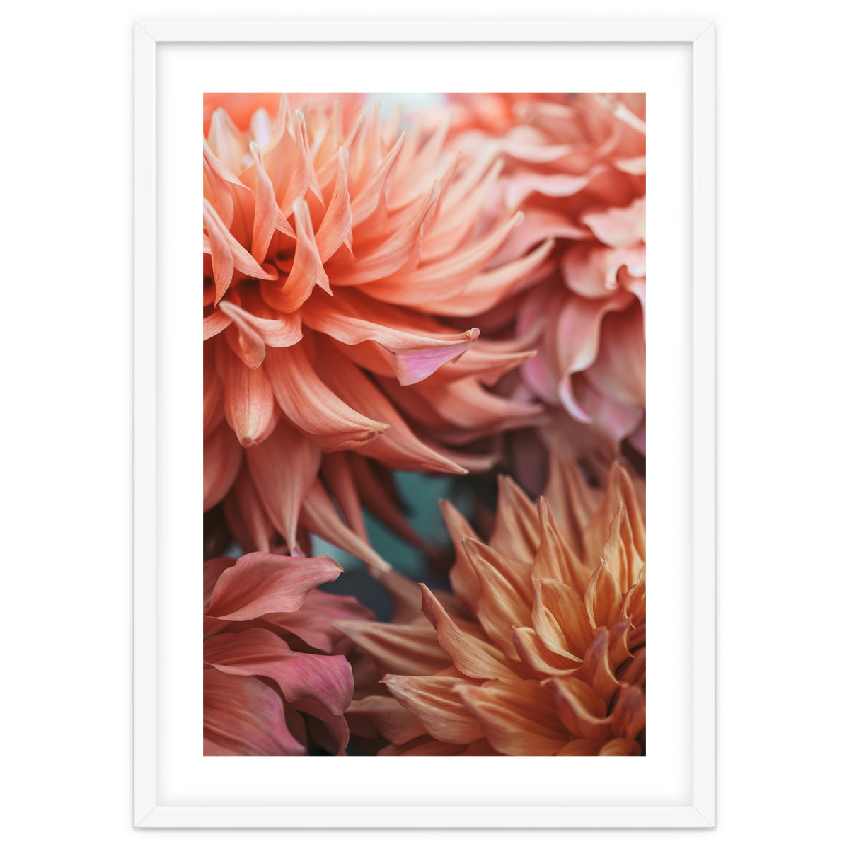 Vintage Dahlia