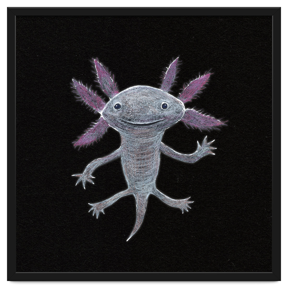 Axolotl