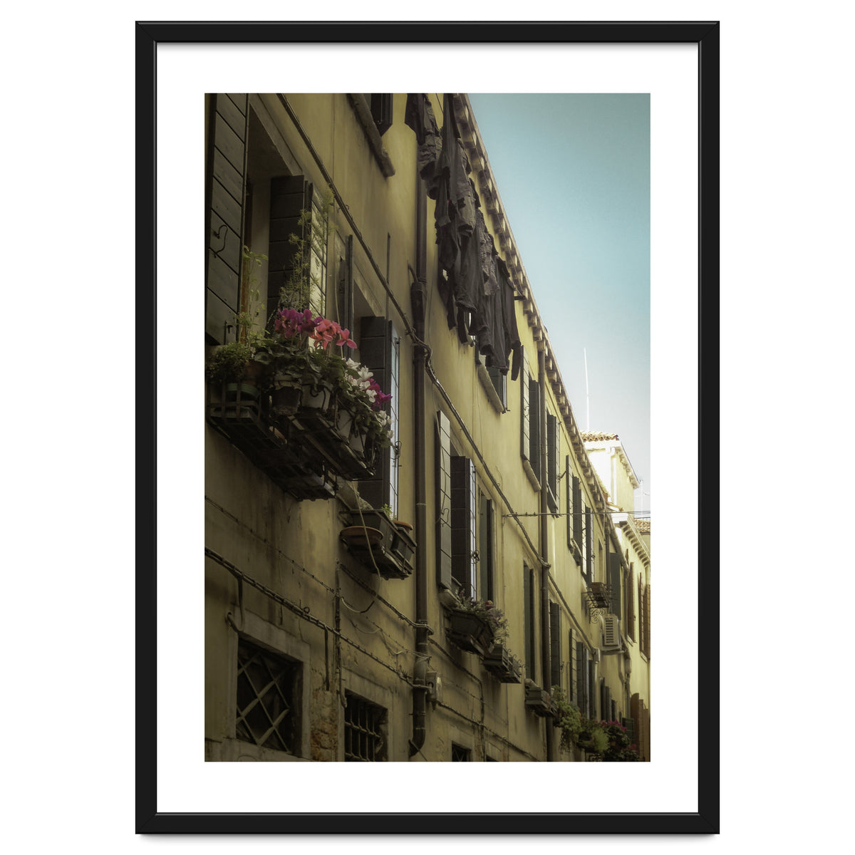 Windows From Tuscany 1