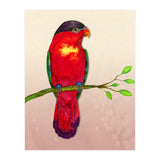 Purple-naped lory (Print Only) thumbnail