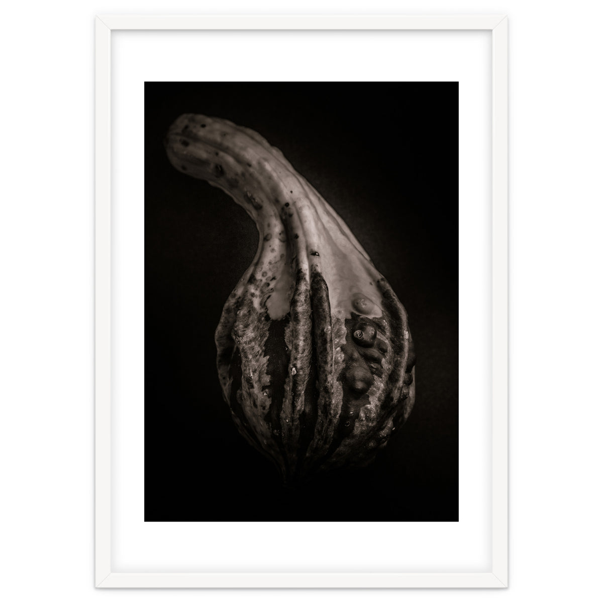 Gourds No 2