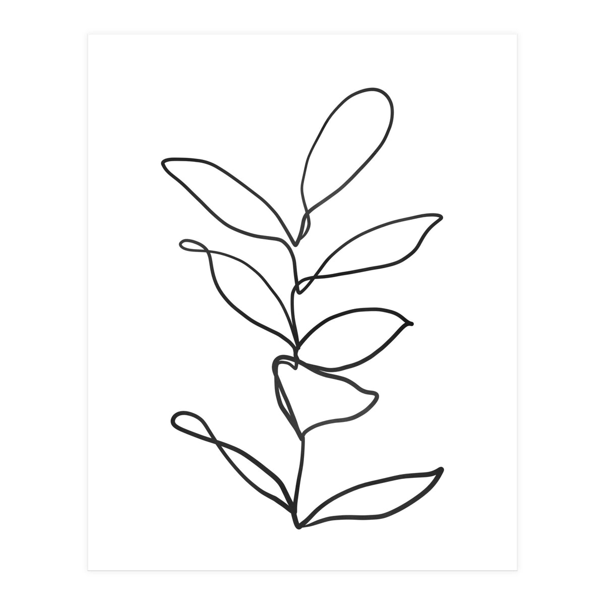 Lines Leaves II (Print Only)