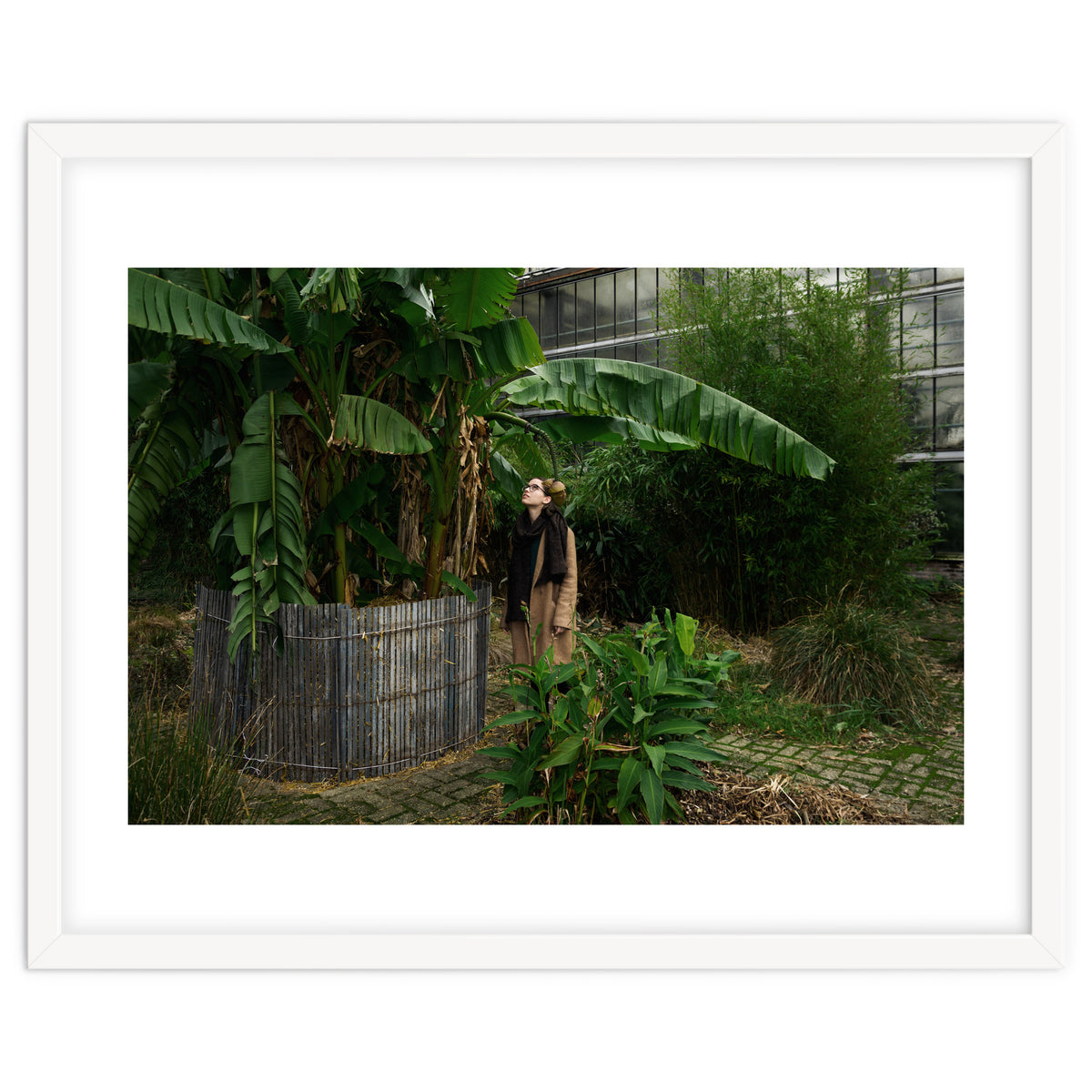 Transition from Summer to Winter