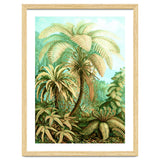 Vintage Tropical | Jungle Botanical Nature Banana Tree | Bohemian Plants Trees Forest thumbnail