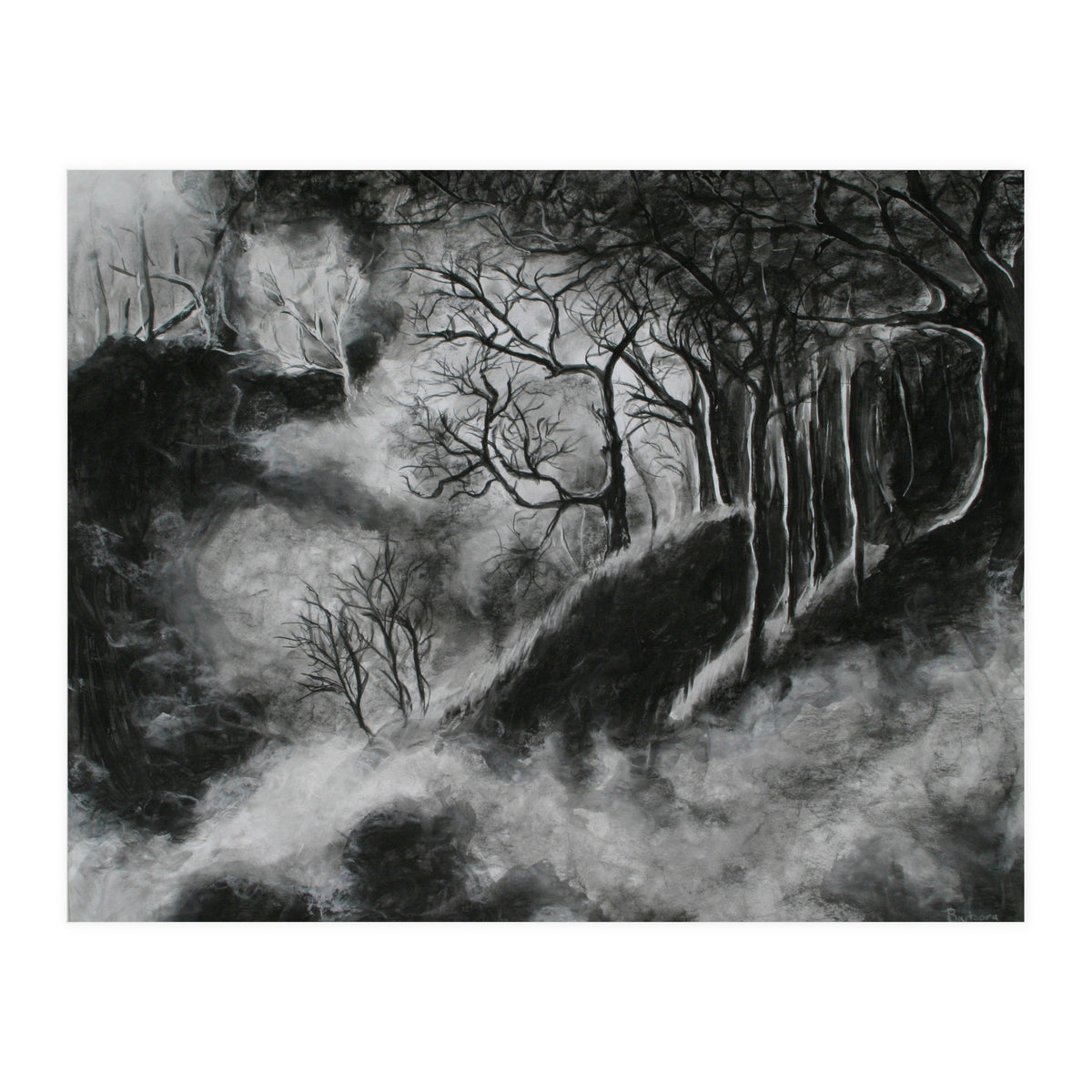 Black and White Forest in Clouds (Print Only)