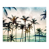 No Palm Trees (Print Only) thumbnail