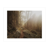 Mt. Davidson II (Print Only) thumbnail