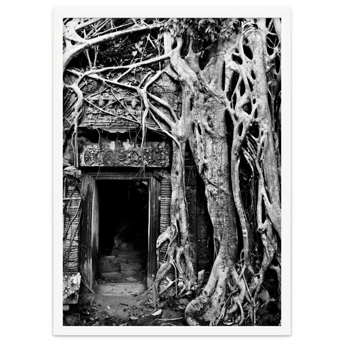 Ta Prohm Temple, Cambodia
