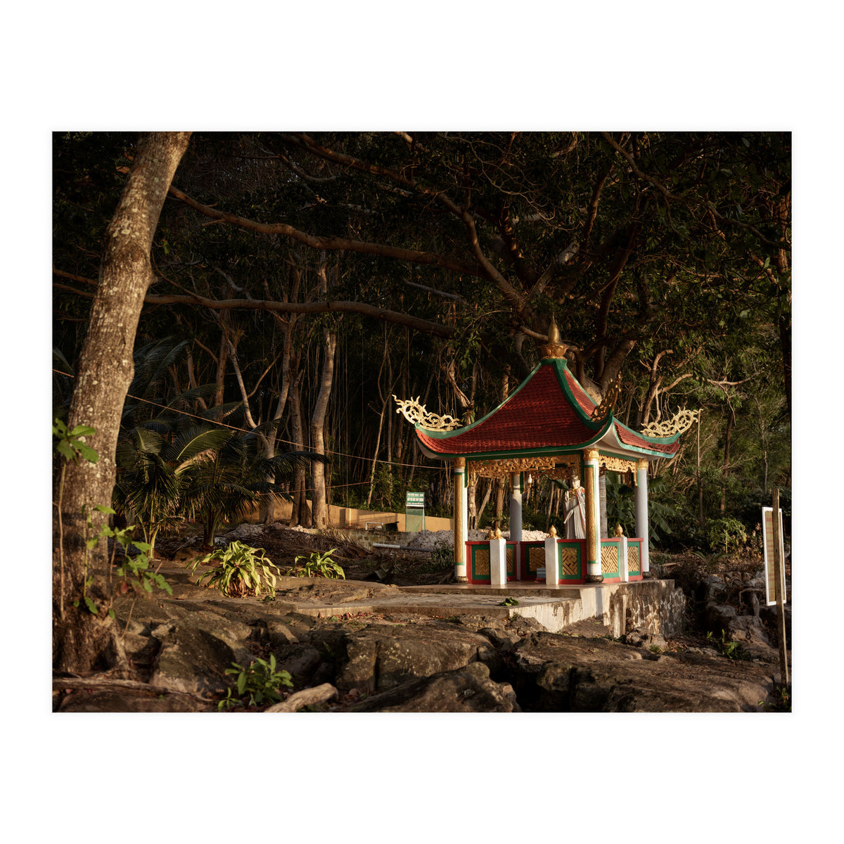 Prey Pray (Print Only)