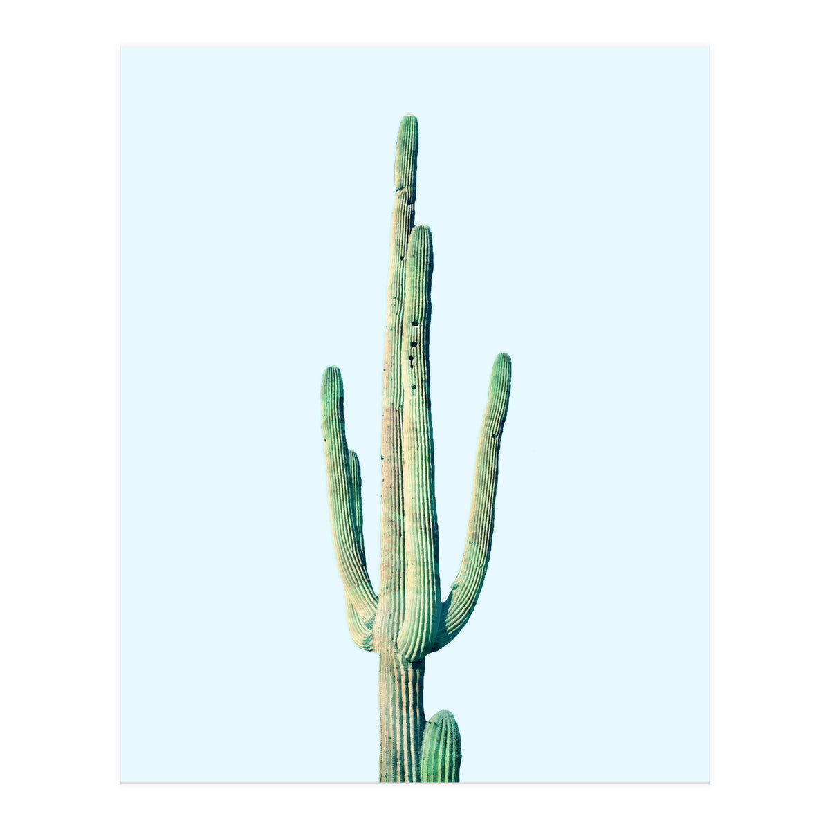 Loner Cactus (Print Only)