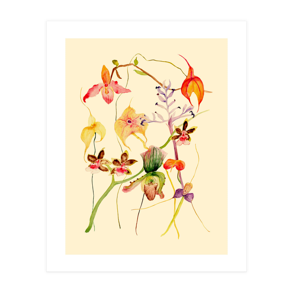 Orchids #1 (Print Only)