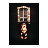 VooDooTooL - Desvodat (Print Only) thumbnail