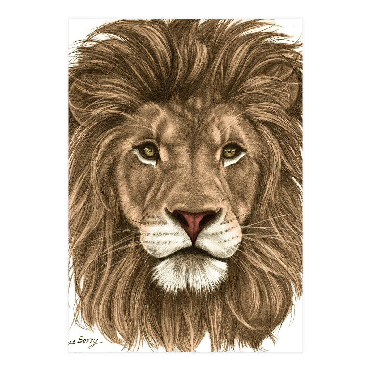 The Majestic Lion (Print Only)