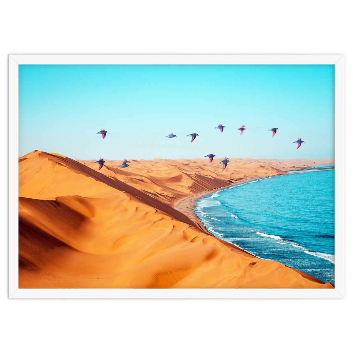 Desert Birds