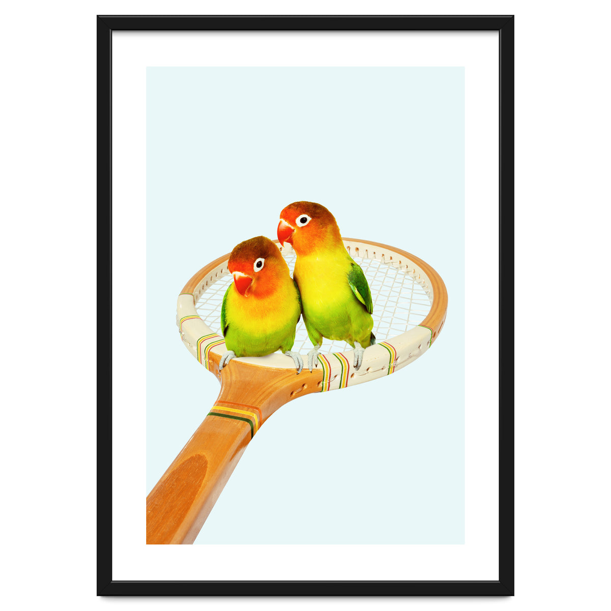 Retro Birds