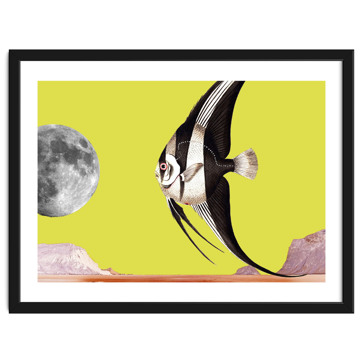 Plenty of fish in the sea yellow