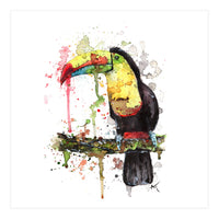Toucan - Wildlife Collection (Print Only)