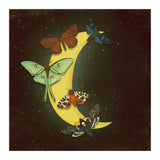 Moth moon (Print Only) thumbnail