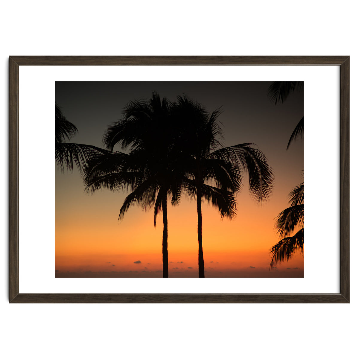 Mexico, November nights