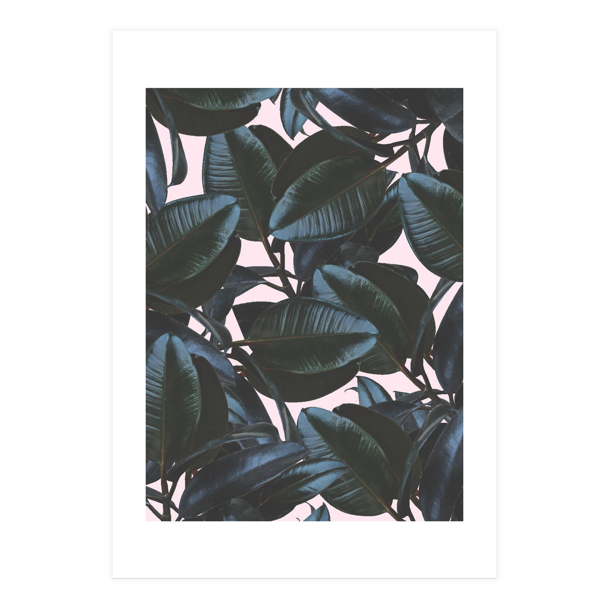 Charming Impression (Print Only)