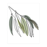 Willow (Print Only) thumbnail