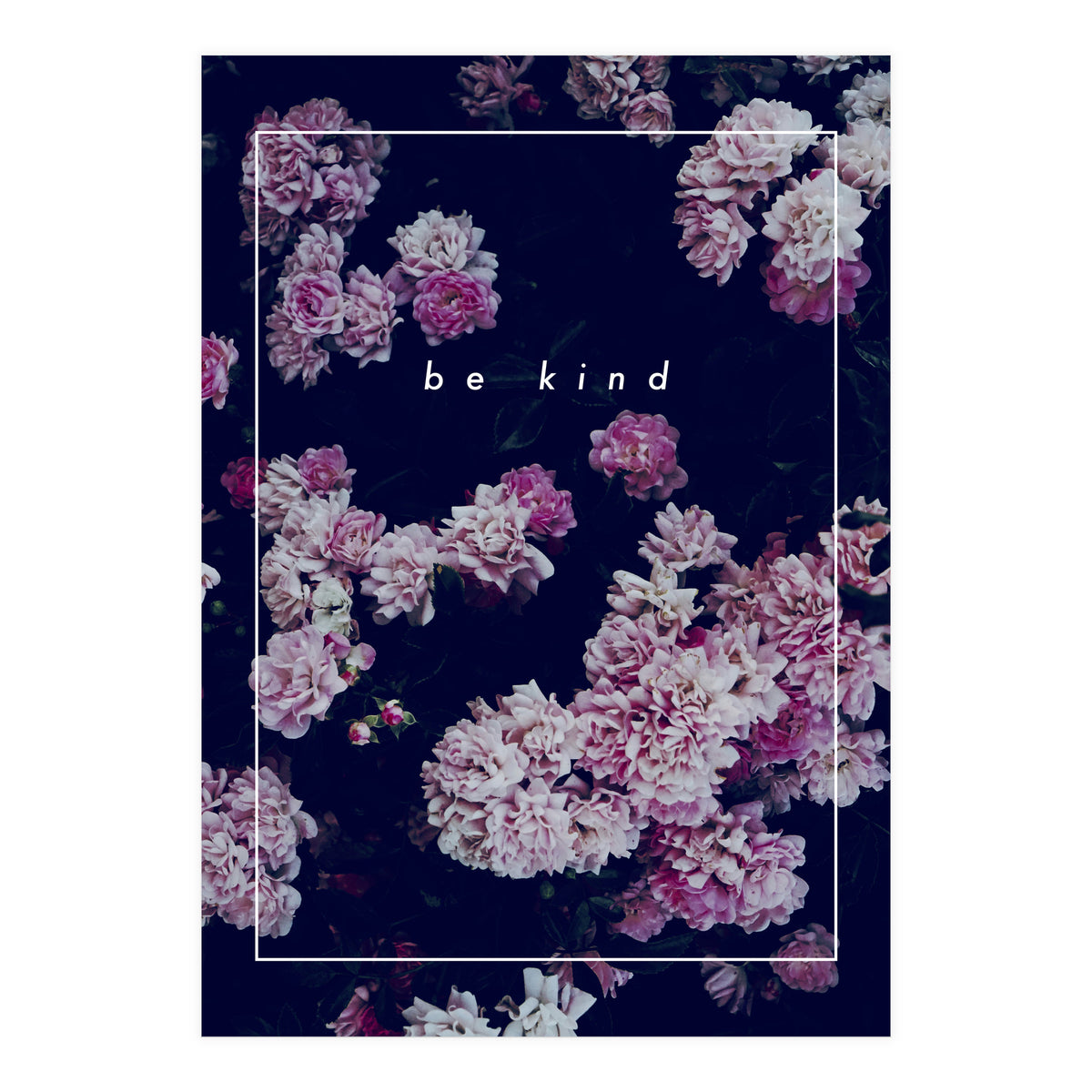be kind - Photography - (Print Only)