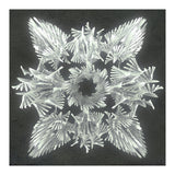 A Winged Debacle (Print Only) thumbnail