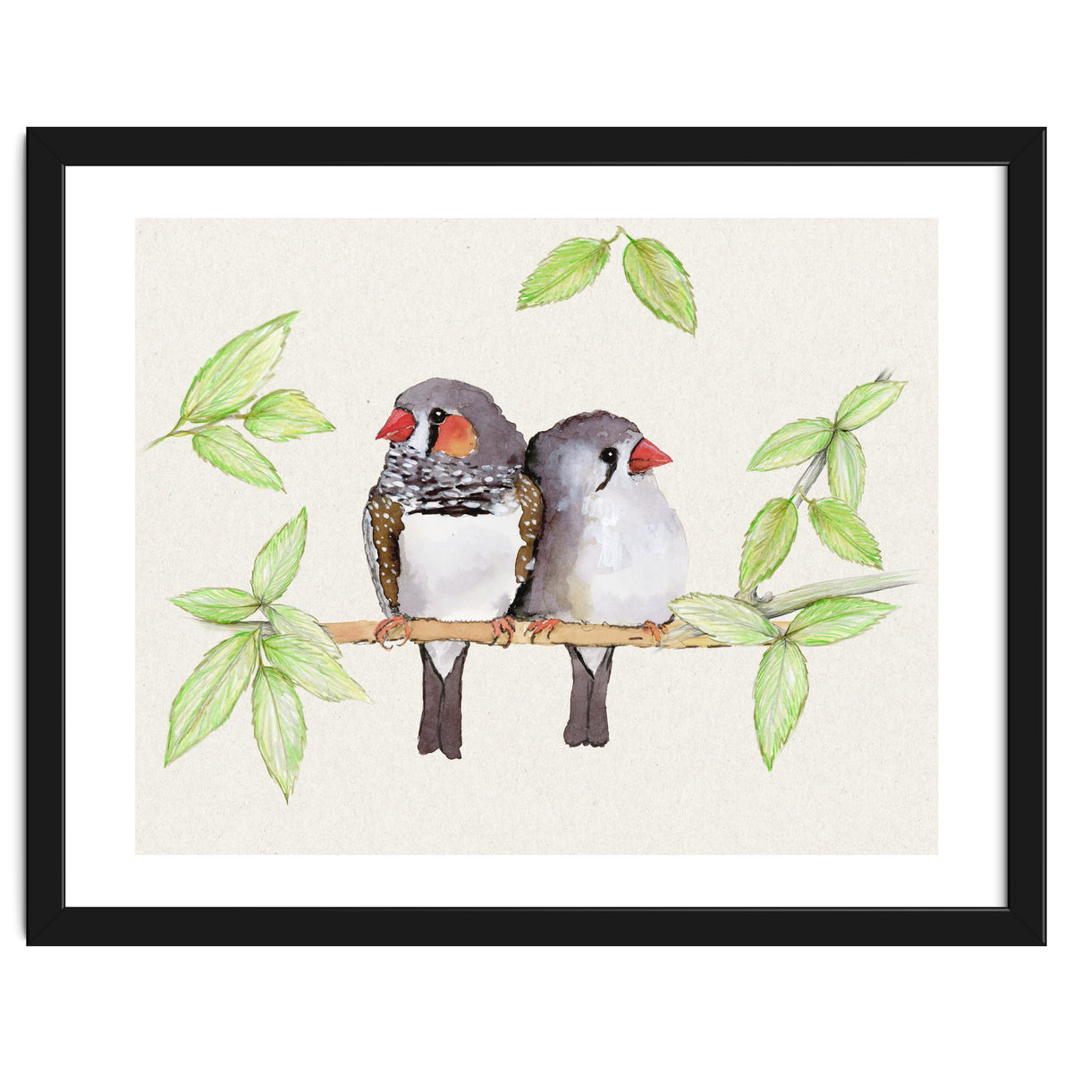 Sweet couple of zebra finches