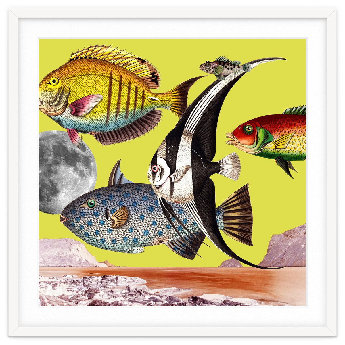 Plenty Of Fish In The Sea Yellow