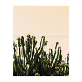 Cactus Vertical Color (Print Only) thumbnail