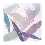 Feathers (Print Only) thumbnail