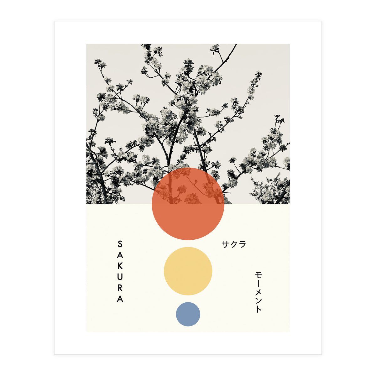 Sakura - Cherry blossom - Japanese - Photography (Print Only)