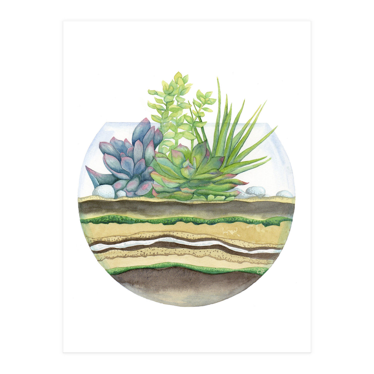 A Little Green Terrarium (Print Only)
