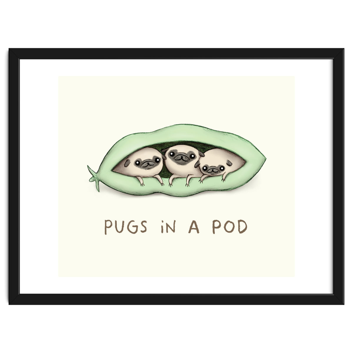 Pugs In A Pod