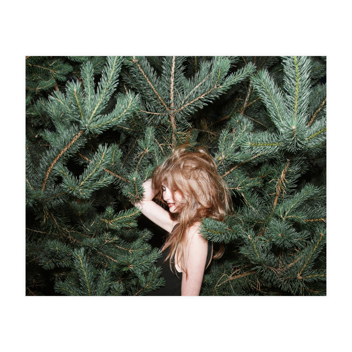 Northern Comfort (Print Only)