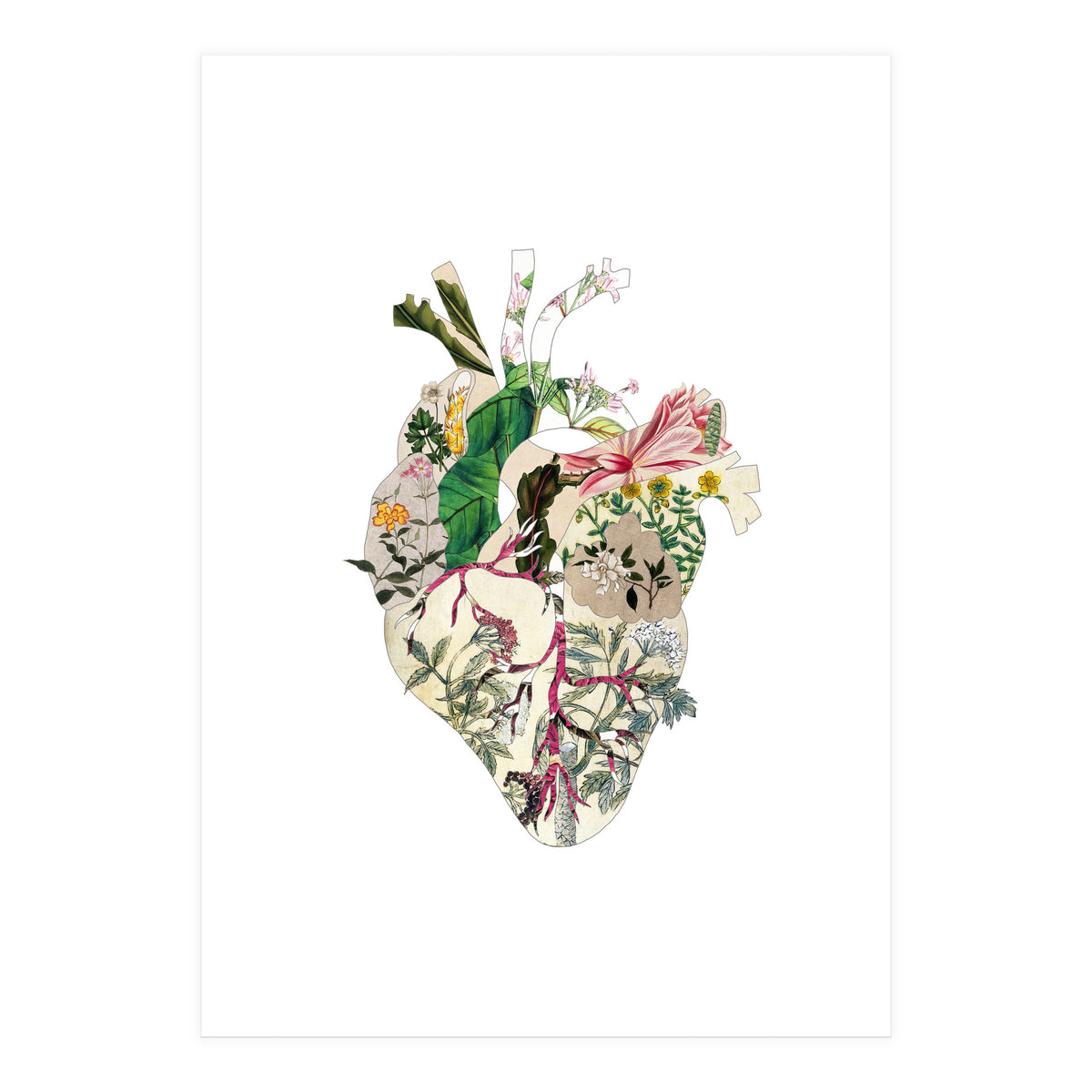 Vintage Botanical Heart (Print Only)