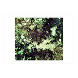 Excavator (Print Only) thumbnail