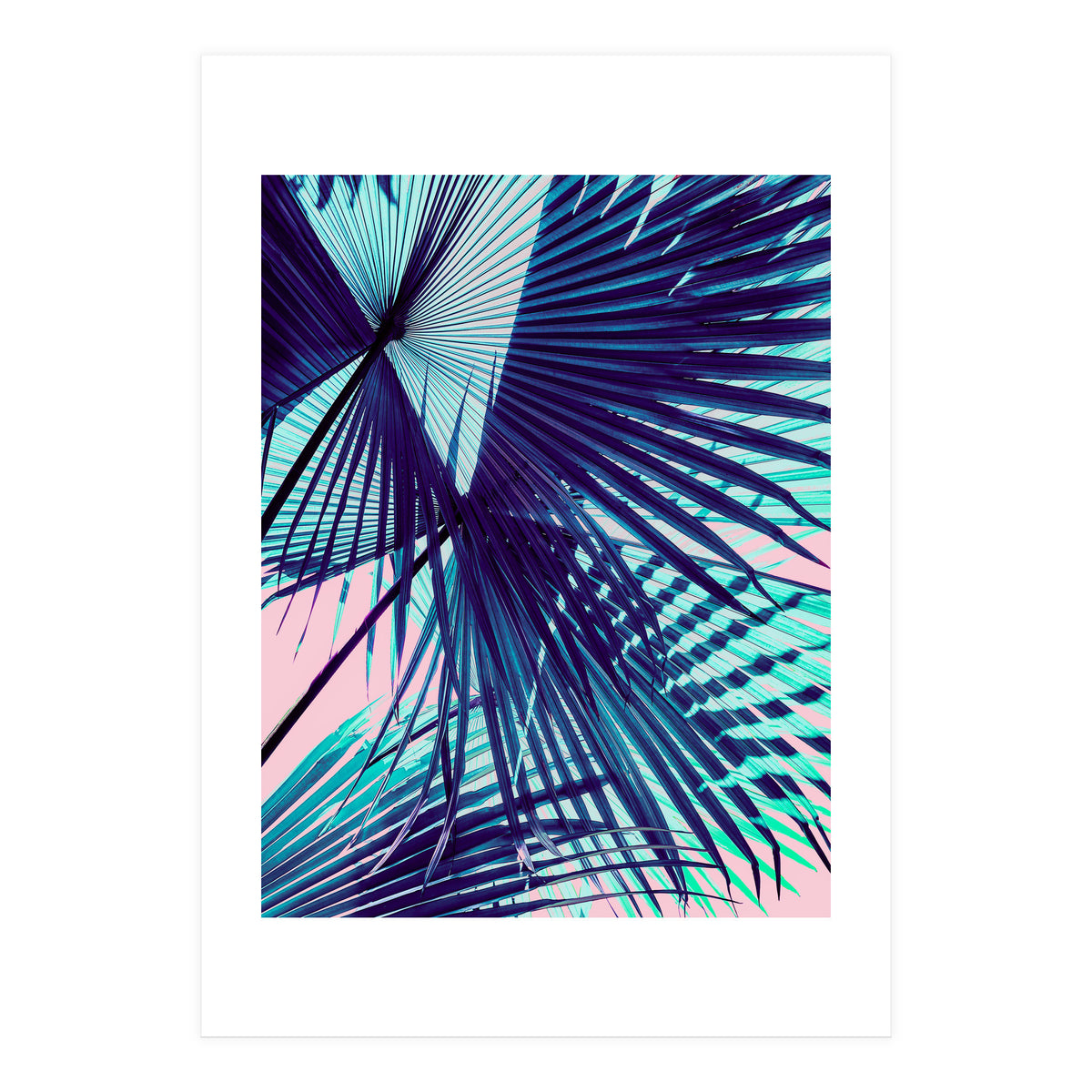 Palm leaf on the beach (Print Only)