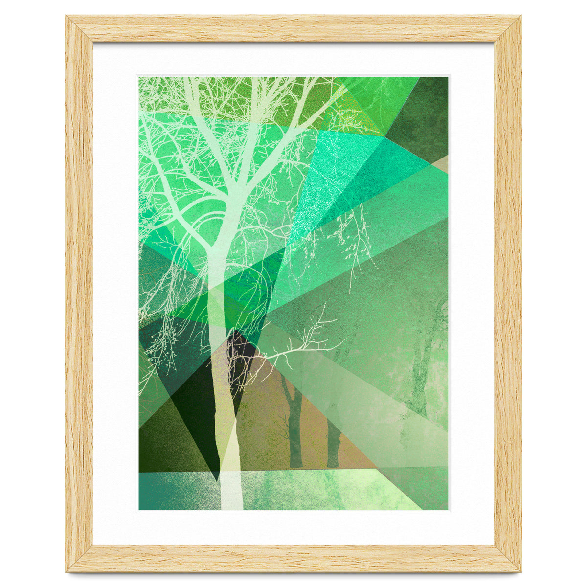 P22 B Trees And Triangles