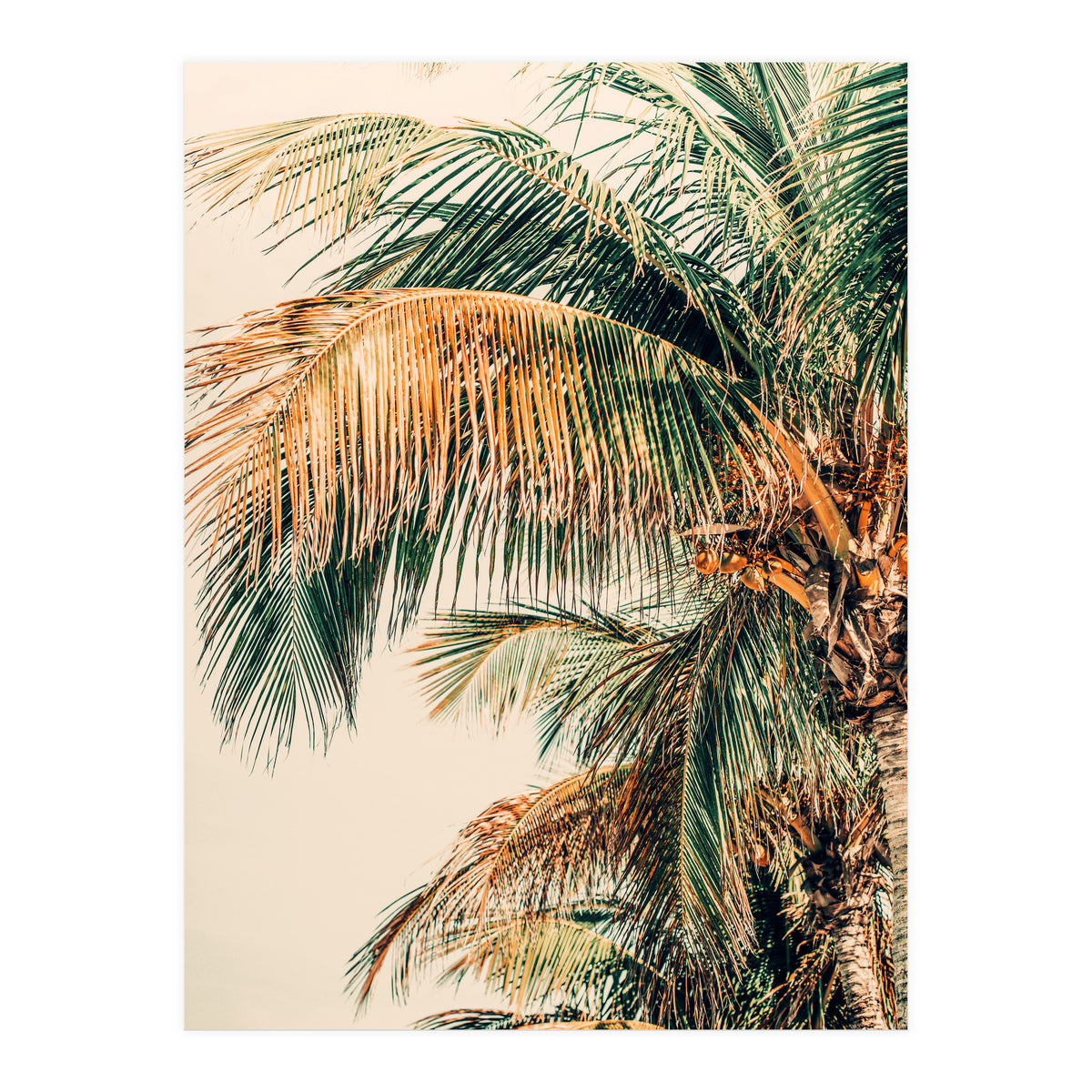 Tropic Summer  (Print Only)