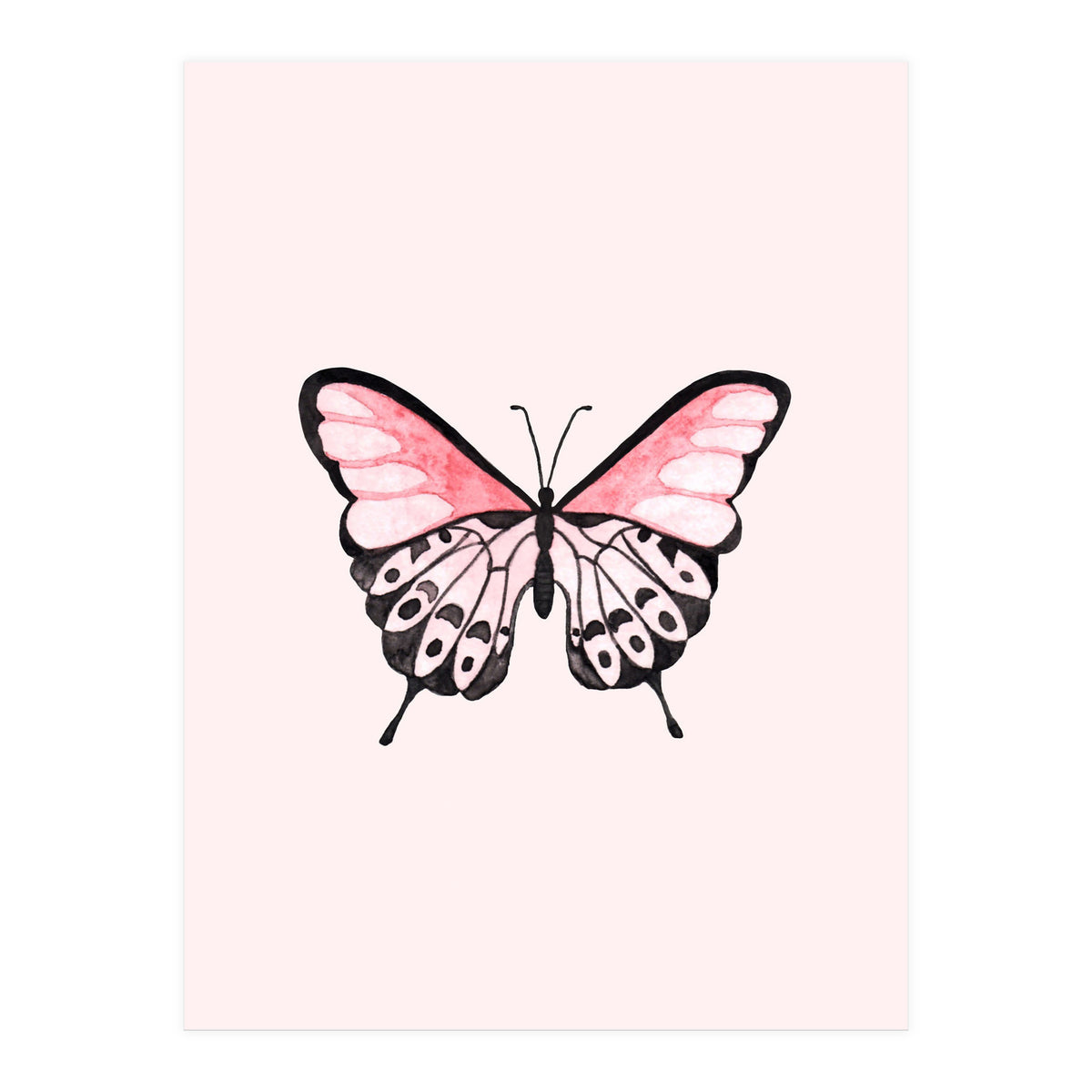Pink Butterfly (Print Only)