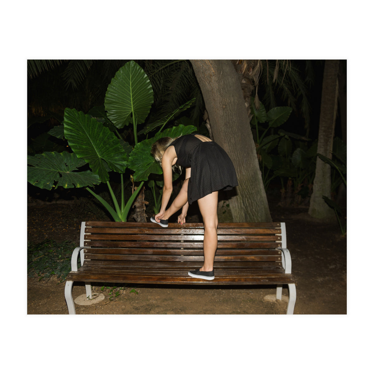 Slow Dancing Society (Print Only)